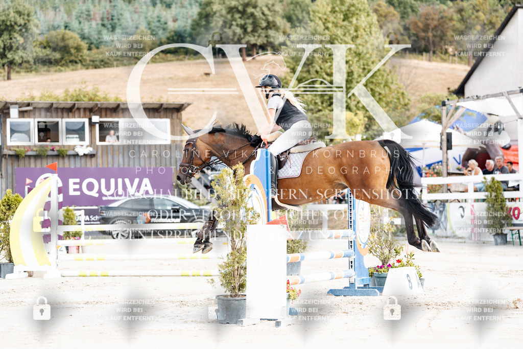 CK908963 | Turnierfotografie Pferdefotografie Trier Rheinland-Pfalz Pferdesport Reitsport Tierfotografie Sportfotografie Pferdevideo Pferdevideografie Equestrianvideography equestrianphotography  - Realisiert mit Pictrs.com