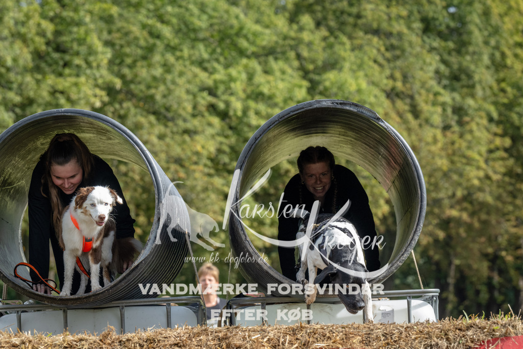1134_ZZ94714 | kk-dogfotos