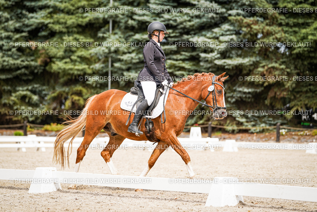 DSC04227 | Pferdegrafie