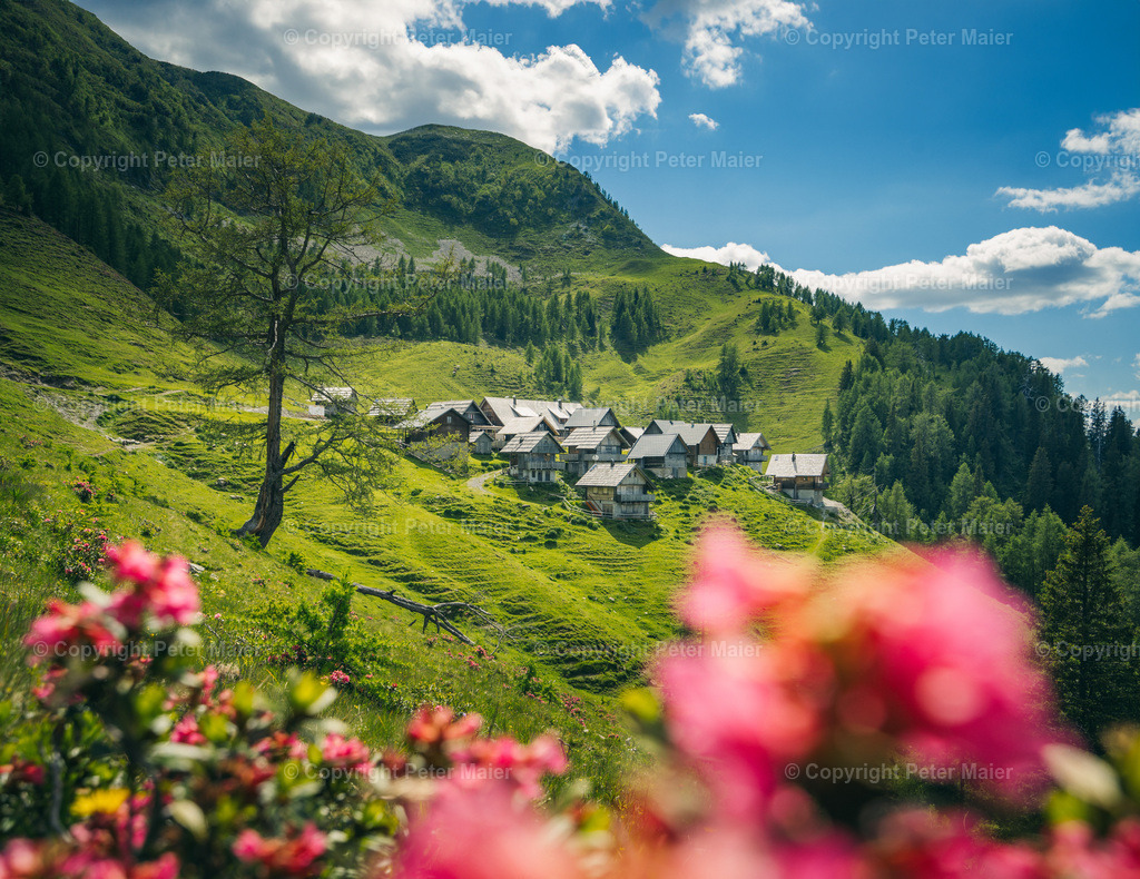 Wandern_Karnische_Milchstrasse_2020-368-Bearbeitet | piet_flosse