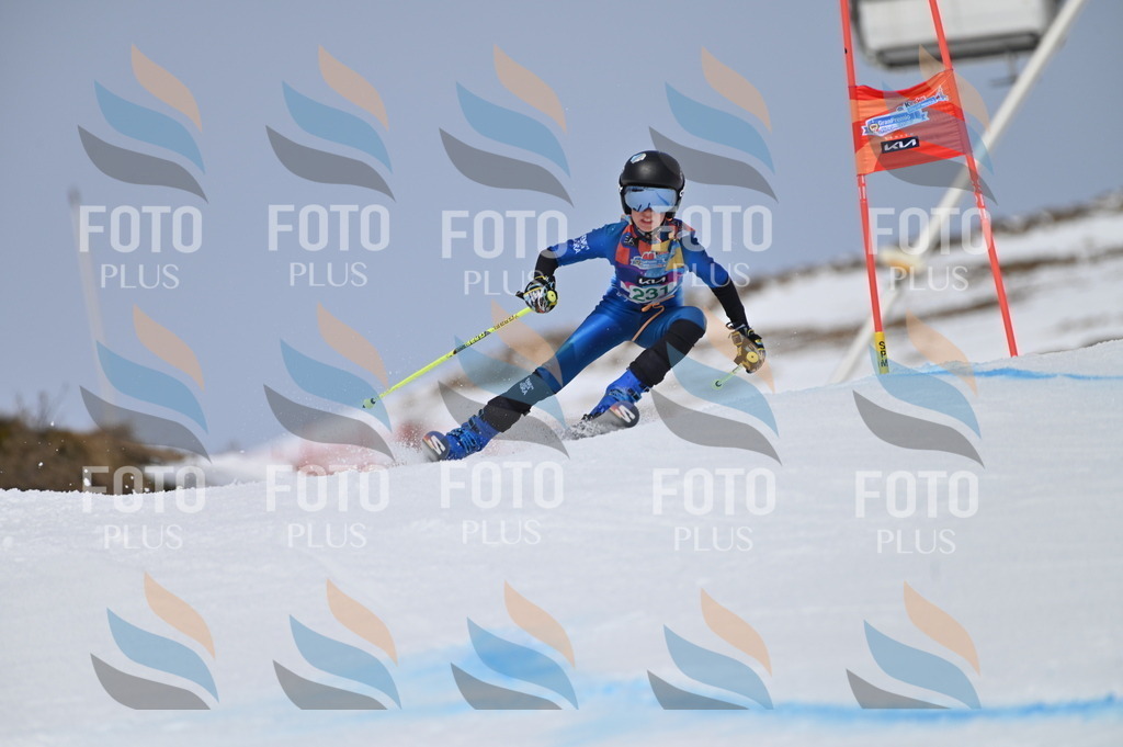 BGV_4566 | holidayphoto