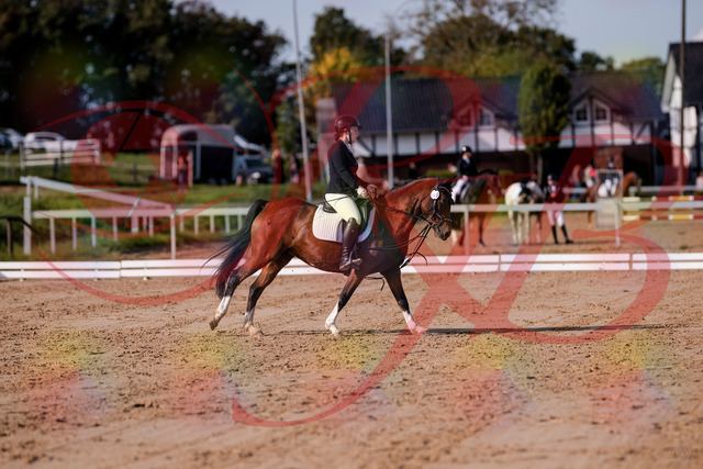 2026_10_03_Siefer-Hof_115618_Z81_96801822 | Professionelle Reitsport-, Turnier- und Eventfotografie von Robert Broda. Galerien mit ausgewählten und bearbeiteten Bildern direkt online ansehen und bestellen.