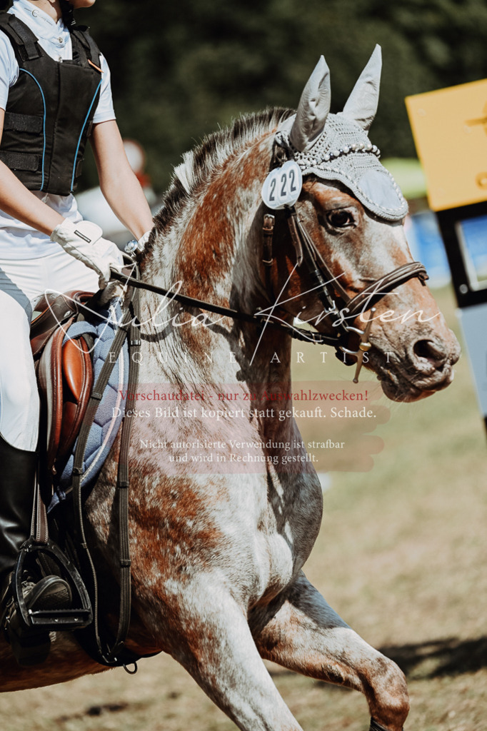 DSC_9750 | Pferde- und Turnierfotografie in Westsachsen. Pferdeportraits, Auftragszeichnungen und intuitive Kunst.