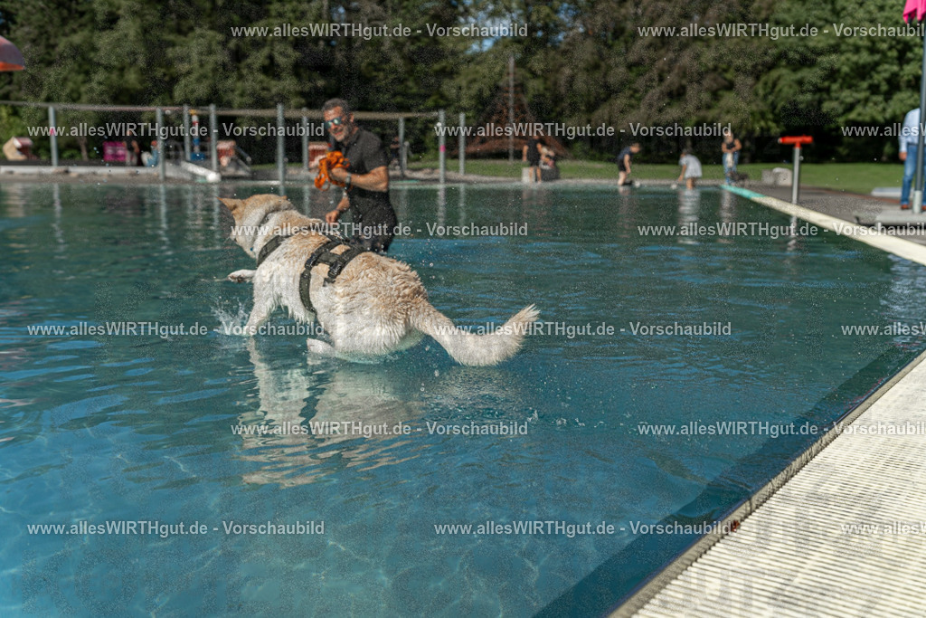 Hundeschwimmen_Volksbad_2026-allesWIRTHgut_Tierfotografie-2609061547-7R501896 | Professionelle Tierfotografie in Mönchengladbach von Daniel Wirth (allesWIRTHgut). Liebevolle & natürliche Bilder von Hunden & Katzen für unvergessliche Erinnerungen.
