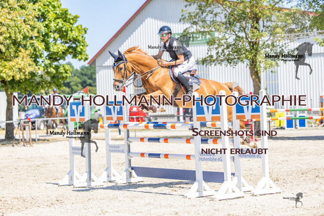 26-7-24 SPF m++-547 | mandyhollmannphotographie