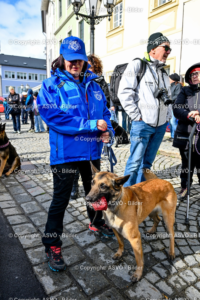 ASVÖ_ Tracking Dog World Championship 2025_ 31.03.2025-251 | 31.03.2025, AUT, ASVÖ, Tracking Dog World Championship // FCI IGP Fährtenhundeweltmeisterschaft 2025©fodo.media / Harald Dostal - Realisiert mit Pictrs.com