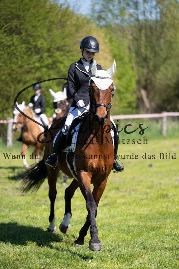 A7V01323 | Pferdefotograf