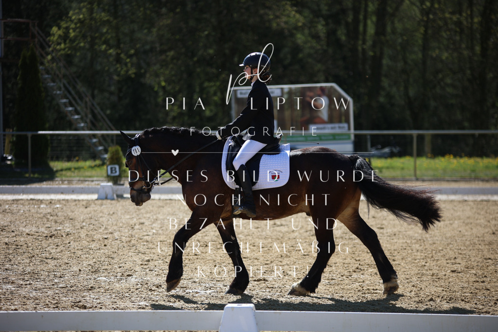 IMGT0275 | pl-fotografie