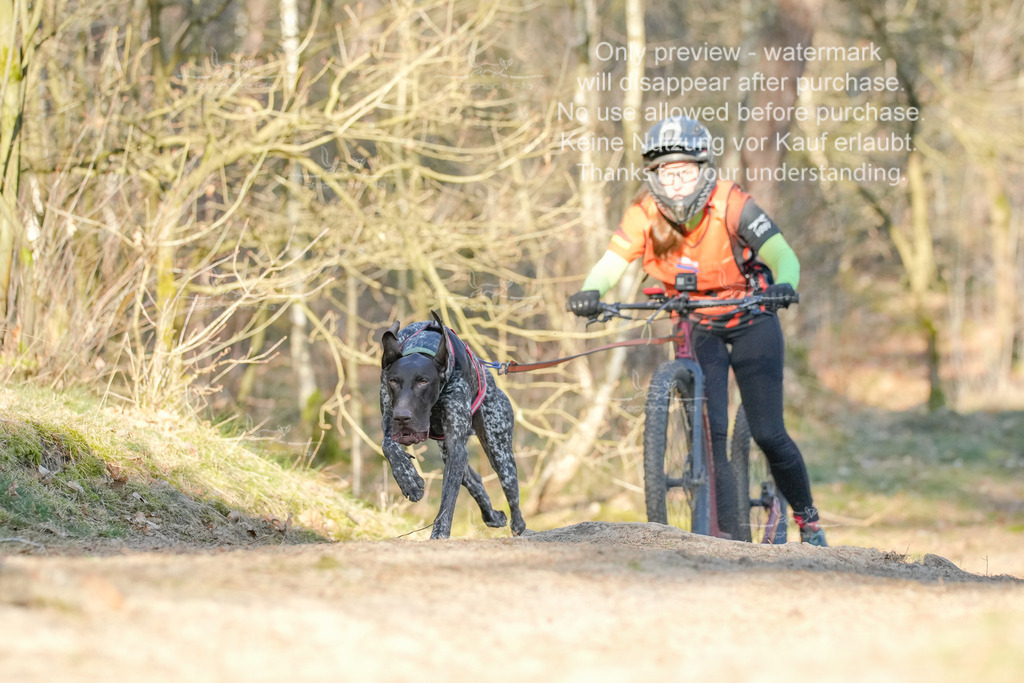 Sa_Scooter-99 | stephaniefillaphotographie - Realisiert mit Pictrs.com