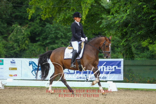 DKP40286 | Turniersportfotografie; Pferdefotografie; Dressurfotografie