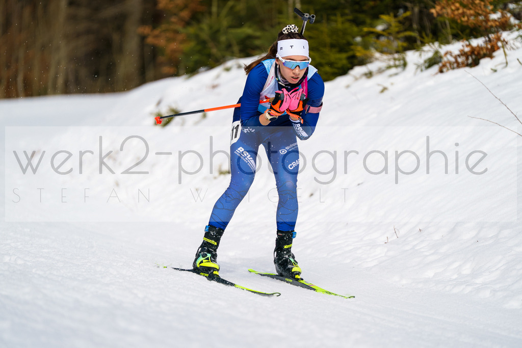 FESA Alpencup / DP Notschrei | Deutschland Pokal Finale im Schwarzwald NORDIC-CENTER Notschrei am 7. - 8. Februar 2026
