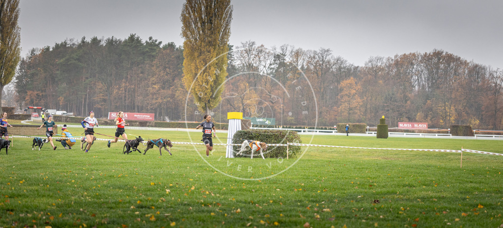 CaniXpix_DV3A8718 | Hundefotografie, Tierfotograf, Pfotenfotografie, Fotoshooting Hund, Hunde Portrait, Hundesport, Hundeportraits, Heideshooting, Hunde, Sportfotograf, Hundefotograf, Turnierhundsport, THS,  - Realisiert mit Pictrs.com