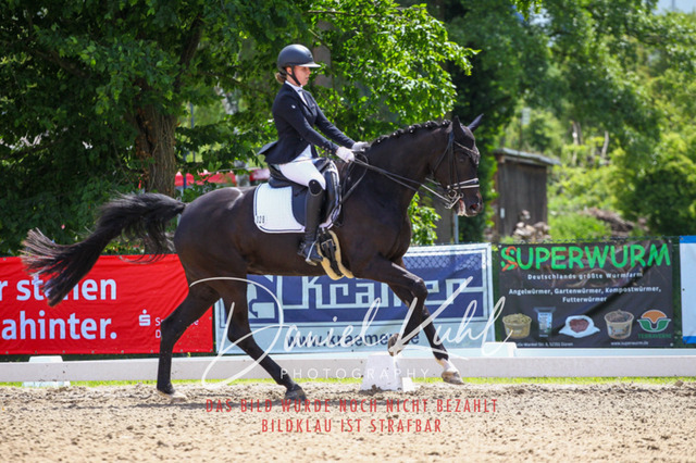 DKP40982 | Turnierfotos kaufen im Webshop von Daniel Kuhl Photography – entdecke professionelle Reitsportfotos aus Turnieren & Events. Hochwertige Turnierbilder online bestellen & sichern. Jetzt Fotos von Reitsportturnieren kaufen!