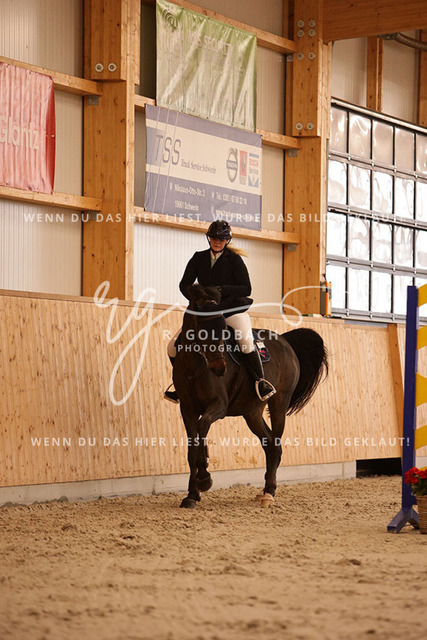 1J2A3257Alexa Burmeister_ Catania 131_ Kn091_ Hohen Wieschendorf_ Glantz | Foto- und Videografie für alles rund ums Pferd. Hochwertige Bilder und Videos vom Spring- und Dressurreiten, Voltigieren & mehr. Jetzt aktuelle Veranstaltungen und Preise im Shop ansehen. - Realisiert mit Pictrs.com