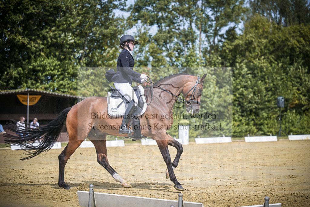 DOS_2933 | Entdecke hochwertige Reitturnierfotos von Foto Oger. Professionell, emotional und authentisch – jetzt Lieblingsmomente im Shop bestellen.Deutschlandweite Turnierfotografie. - Realisiert mit Pictrs.com