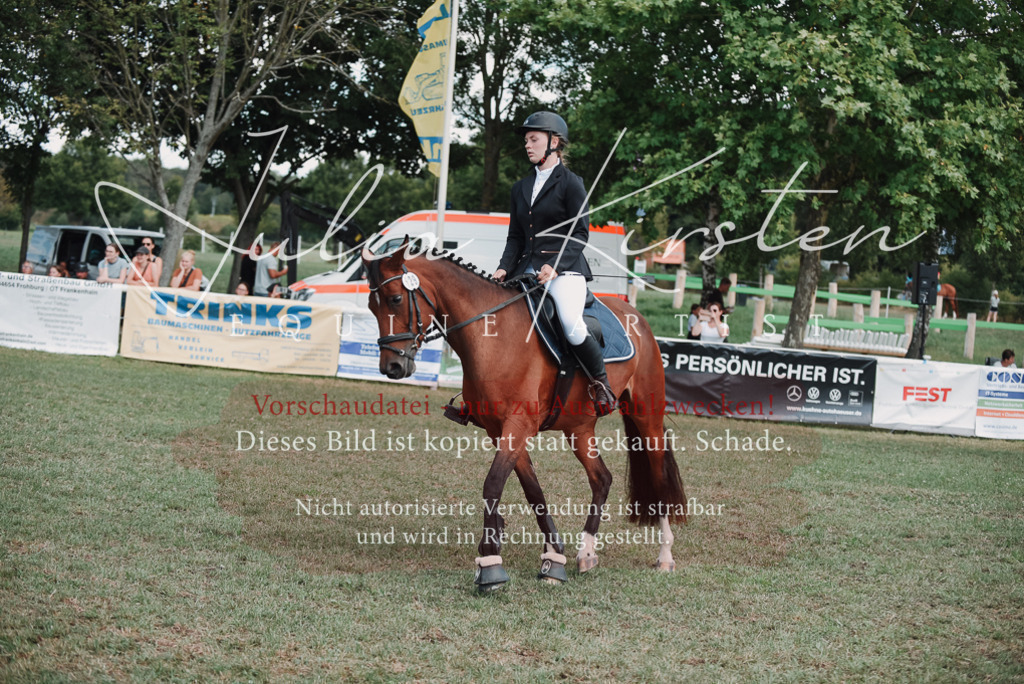 DSC_5828 | Pferde- und Turnierfotografie in Westsachsen. Pferdeportraits, Auftragszeichnungen und intuitive Kunst.