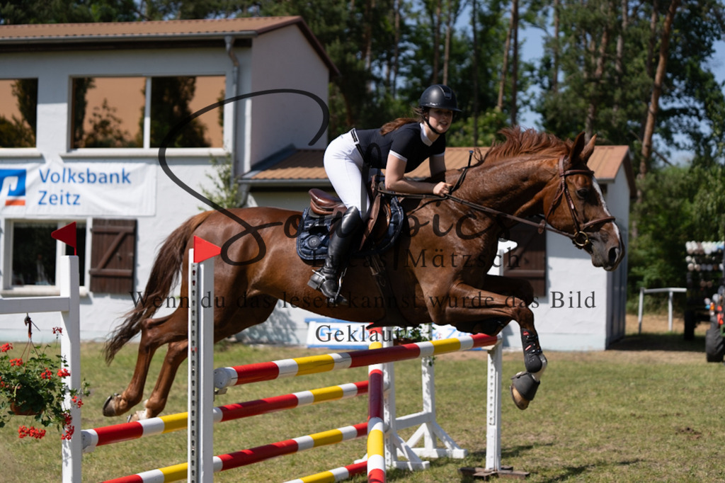 A7V06363 | Pferdefotograf