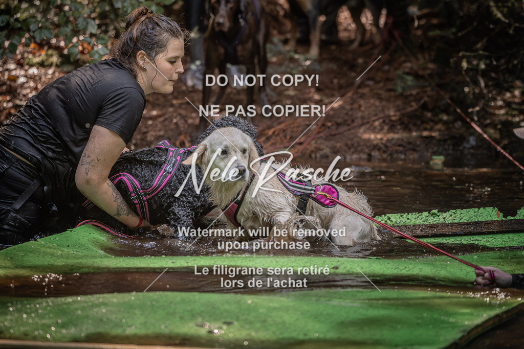 nelerasche_Wingst_Sa1330-1400_233 | nelerasche