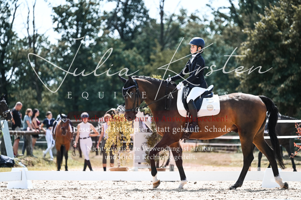 DSC_5757 | Pferde- und Turnierfotografie in Westsachsen. Pferdeportraits, Auftragszeichnungen und intuitive Kunst.