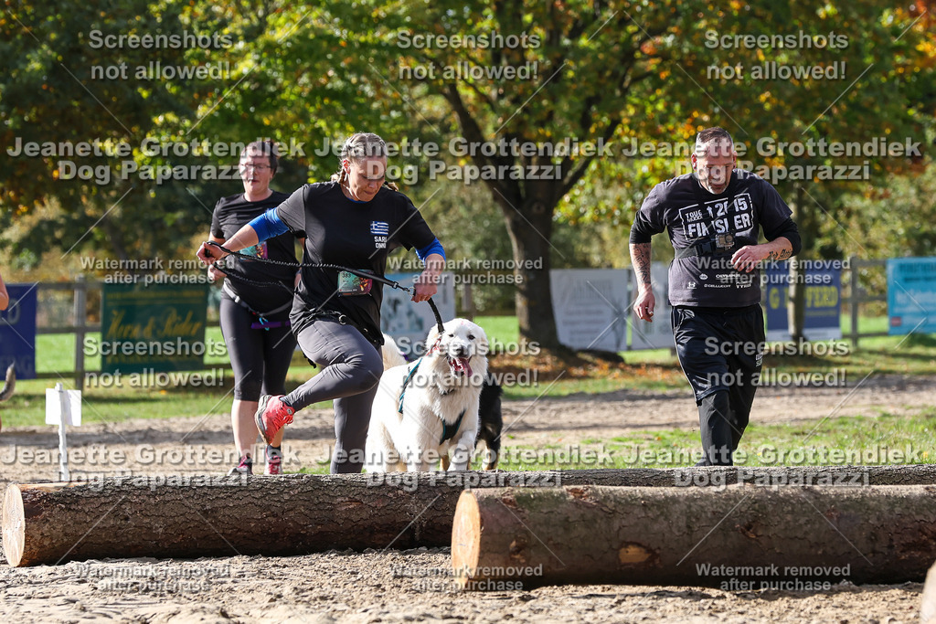 Dog Paparazzi - Strongdog 10-25-5018 | Dog Paparazzi Jeanette Grottendiek Fotografie & Videografie - Realisiert mit Pictrs.com