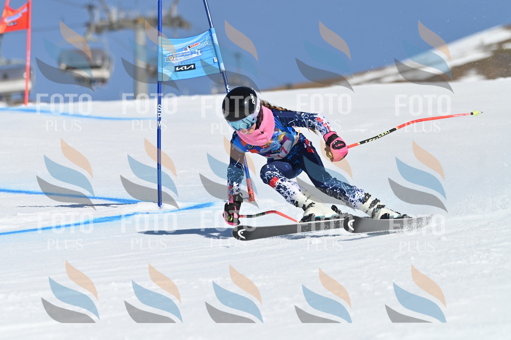 BGV_7899 | holidayphoto