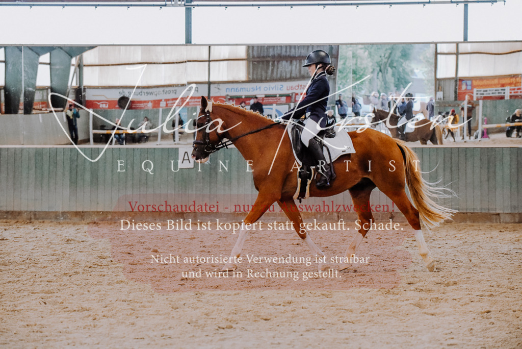 DSC_7685 | Pferde- und Turnierfotografie in Westsachsen. Pferdeportraits, Auftragszeichnungen und intuitive Kunst.