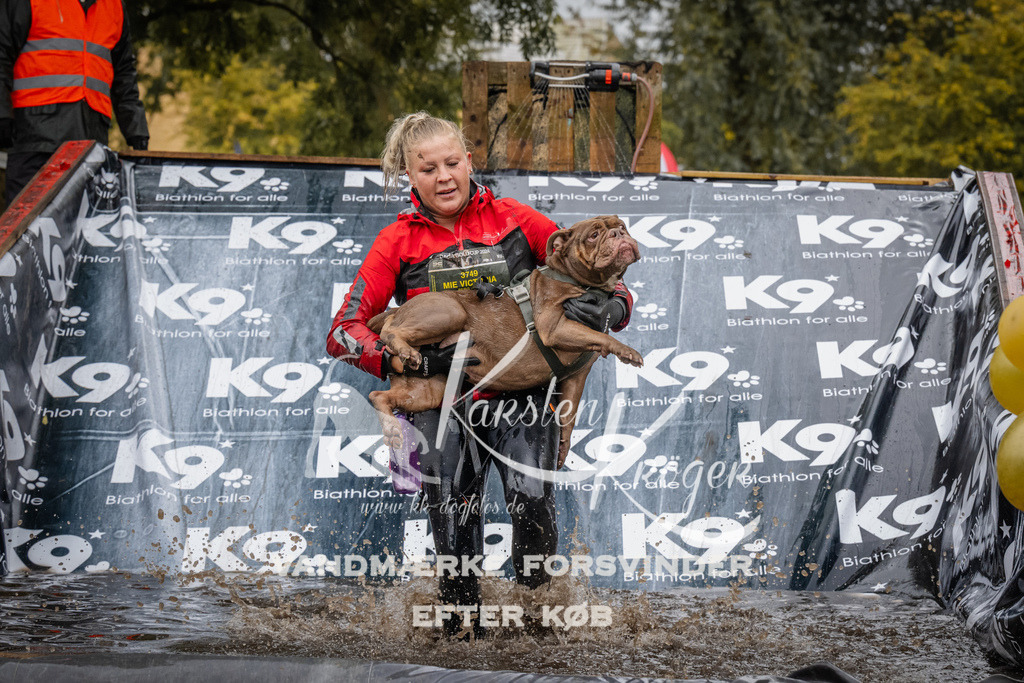 1208_ZZ94475 | kk-dogfotos