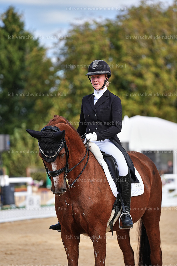 10-061-ST.GEORG SPECIAL -Marixx-3332 | working equitationturnier fotograf videograf stoibphotography marixx film working equitation deutschland reitsport turnierfotografie eventfotografie equestrian events