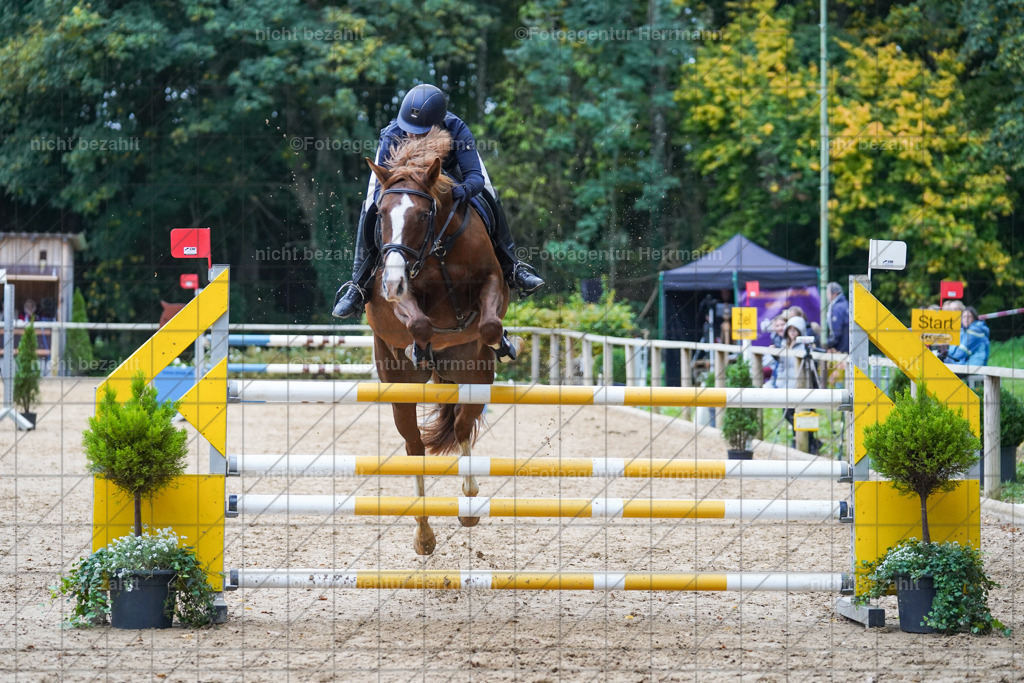 20221009-FAH08950 | Diessen am Ammersee, 2022, Dressur- und Springturnier, Reitsportbilder, Turnierfotografen Bayern, Pferdefotografen, Fotoagentur Herrmann, Turnierbilder