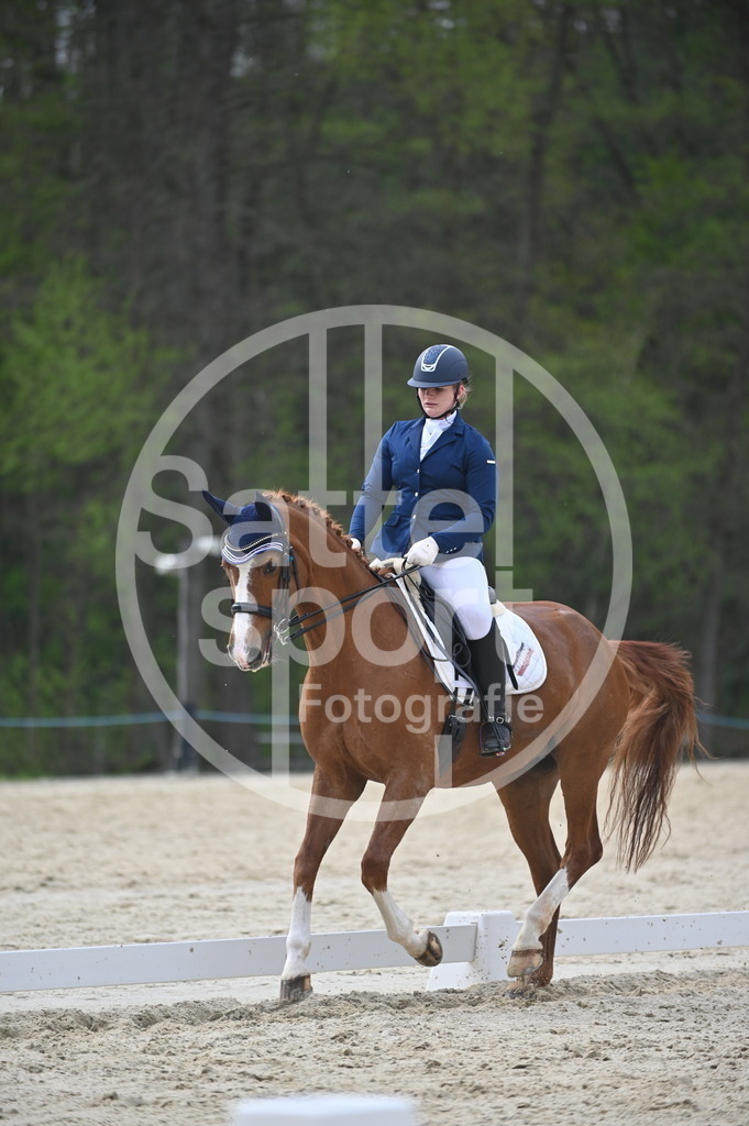 DSC_5056 | sattelsport - Realisiert mit Pictrs.com