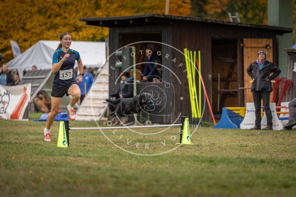 Pfotenfotografie_DV3A4951 | Hundefotografie, Tierfotograf, Pfotenfotografie, Fotoshooting Hund, Hunde Portrait, Hundesport, Hundeportraits, Heideshooting, Hunde, Sportfotograf, Hundefotograf, Turnierhundsport, THS,  - Realisiert mit Pictrs.com