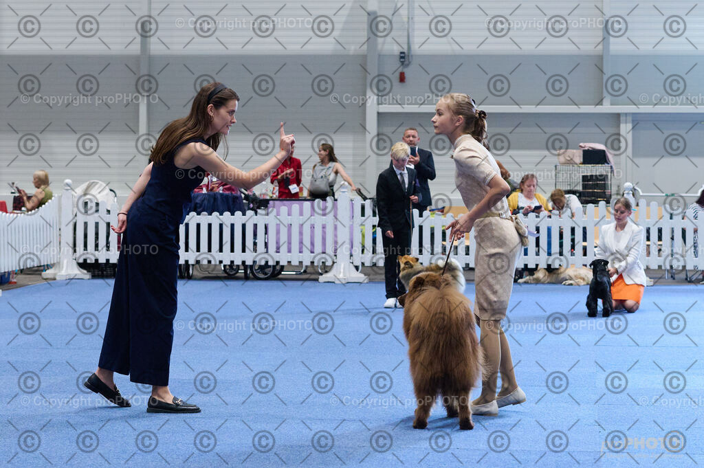 202406_ÖKV-IHA-Tulln24_DSC_4694 | proPHOTO - Realisiert mit Pictrs.com