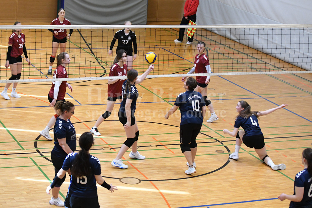 TSV Plattling Volleyball : VSG Passau/Fürstenzell | TSV Plattling IsarVolleys Damen - Realisiert mit Pictrs.com
