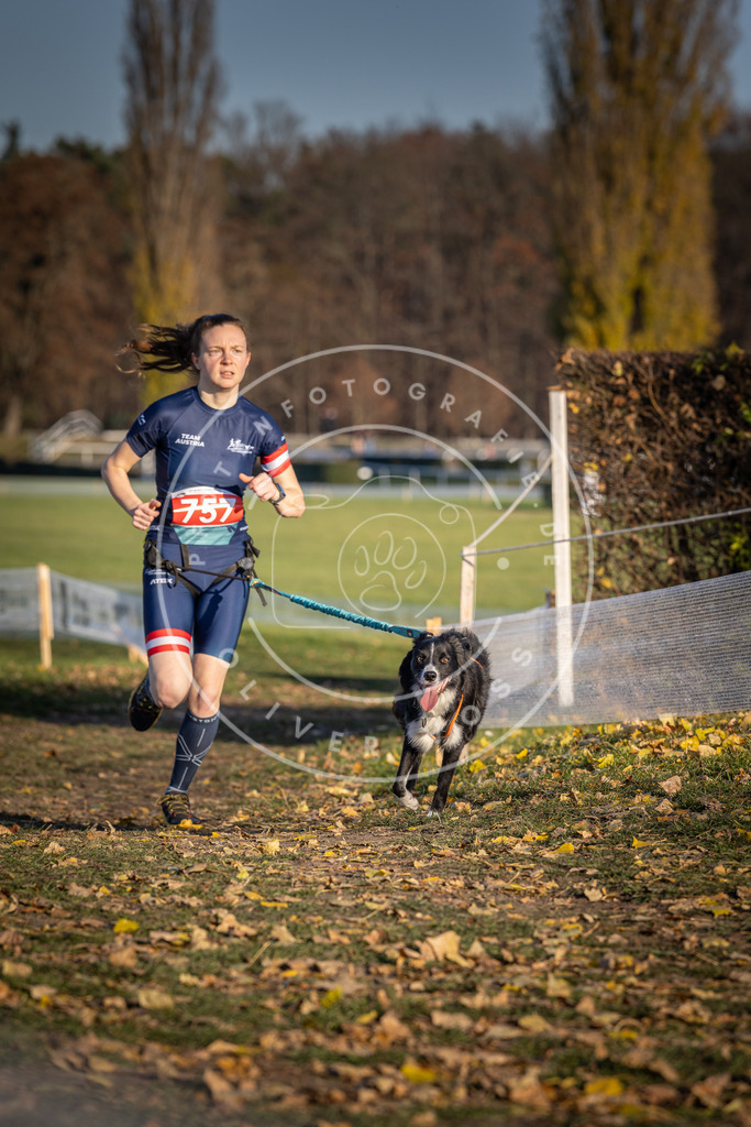 CaniXpix_DV3A2576 | Hundefotografie, Tierfotograf, Pfotenfotografie, Fotoshooting Hund, Hunde Portrait, Hundesport, Hundeportraits, Heideshooting, Hunde, Sportfotograf, Hundefotograf, Turnierhundsport, THS,  - Realisiert mit Pictrs.com