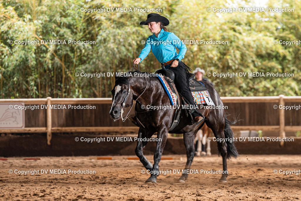 Erbach Tag 1-599 | dv-media-shop - Realisiert mit Pictrs.com