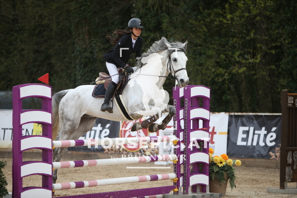 PP017663 | Willkommen bei Brunnmayr - Design & Fotografie – Ihrem Spezialisten für Reitturniere und Pferdeveranstaltungen in Oberösterreich, Salzburg und Bayern! Seit über 17 Jahren sind wir leidenschaftlich dabei.