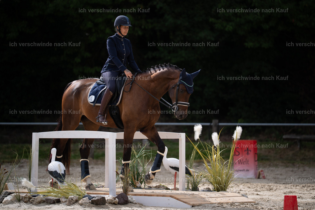 WL_ST_41_stoibphotography_6 | working equitationturnier fotograf videograf stoibphotography marixx film working equitation deutschland reitsport turnierfotografie eventfotografie equestrian events
