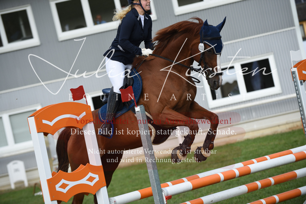 DSC_8846 | Pferde- und Turnierfotografie in Westsachsen. Pferdeportraits, Auftragszeichnungen und intuitive Kunst.