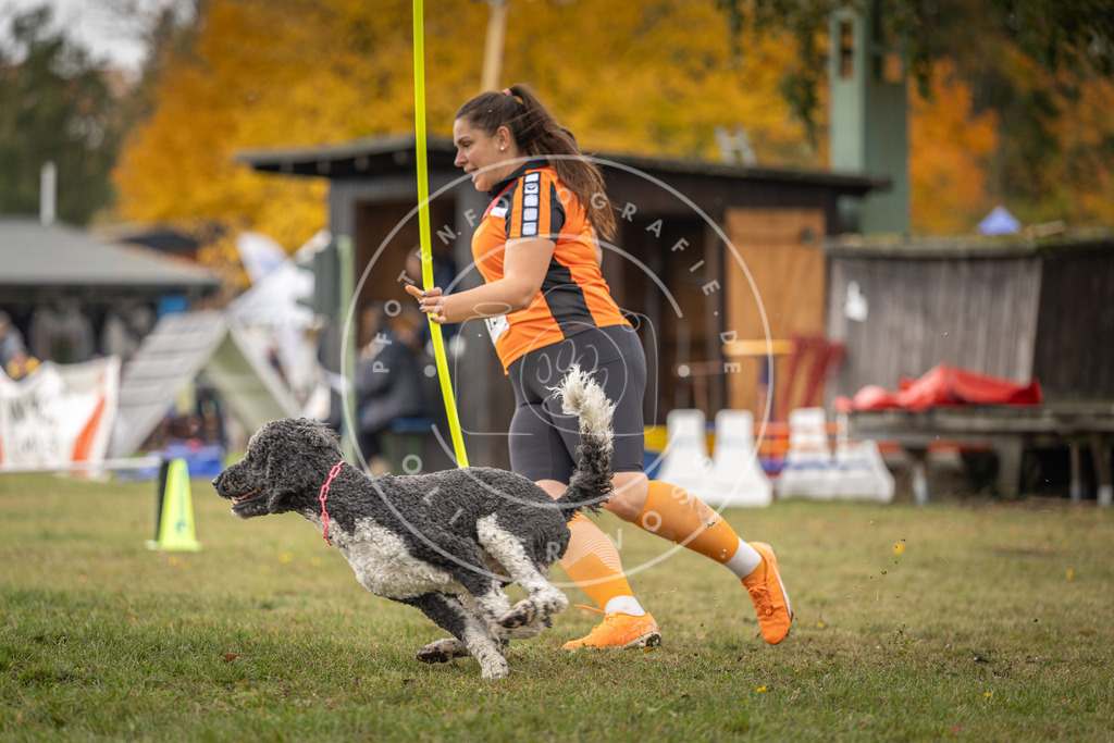 Pfotenfotografie_DV3A6738 | Hundefotografie, Tierfotograf, Pfotenfotografie, Fotoshooting Hund, Hunde Portrait, Hundesport, Hundeportraits, Heideshooting, Hunde, Sportfotograf, Hundefotograf, Turnierhundsport, THS,  - Realisiert mit Pictrs.com