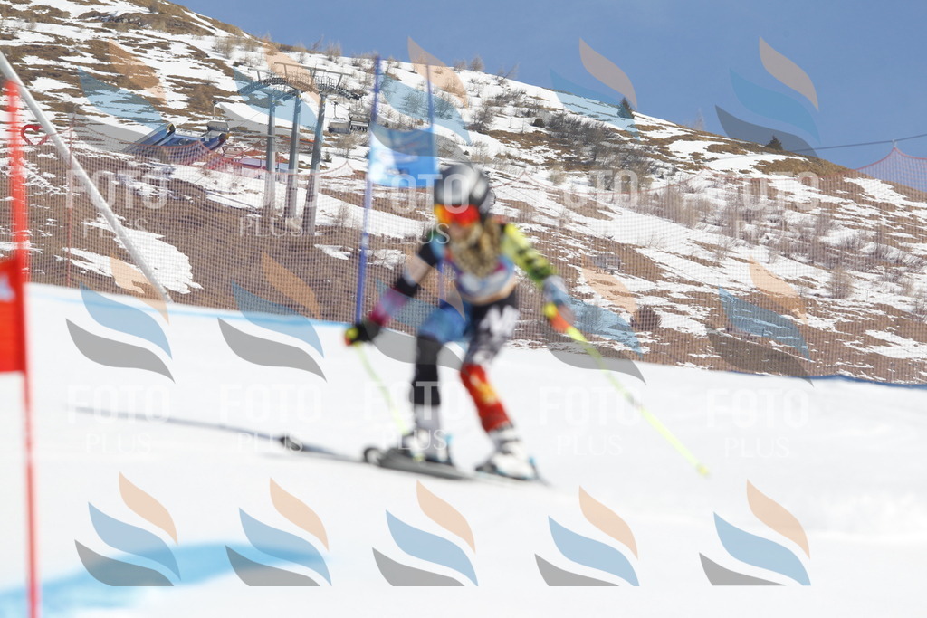 _U3G8566 | holidayphoto