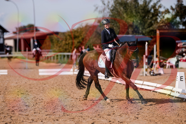 2026_10_03_Siefer-Hof_123141_Z81_30255166 | Professionelle Reitsport-, Turnier- und Eventfotografie von Robert Broda. Galerien mit ausgewählten und bearbeiteten Bildern direkt online ansehen und bestellen.