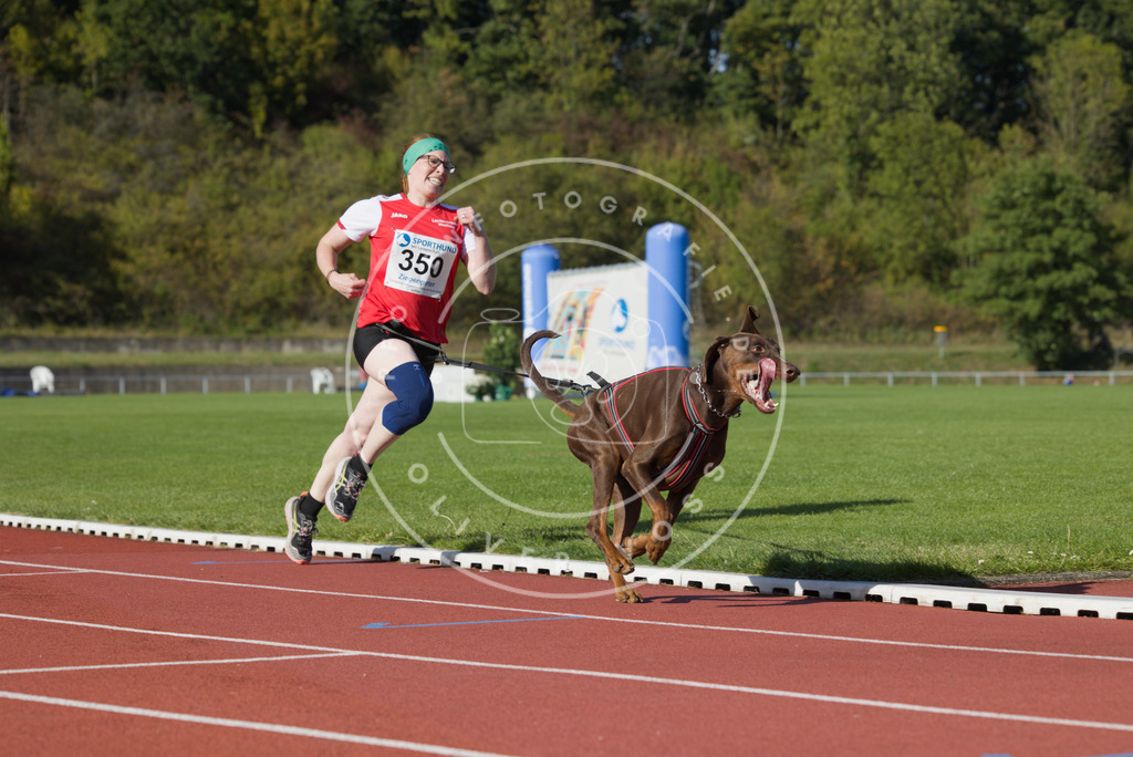 0L8A9534 | Hundefotografie, Tierfotograf, Pfotenfotografie, Fotoshooting Hund, Hunde Portrait, Hundesport, Hundeportraits, Heideshooting, Hunde, Sportfotograf, Hundefotograf, Turnierhundsport, THS,  - Realisiert mit Pictrs.com