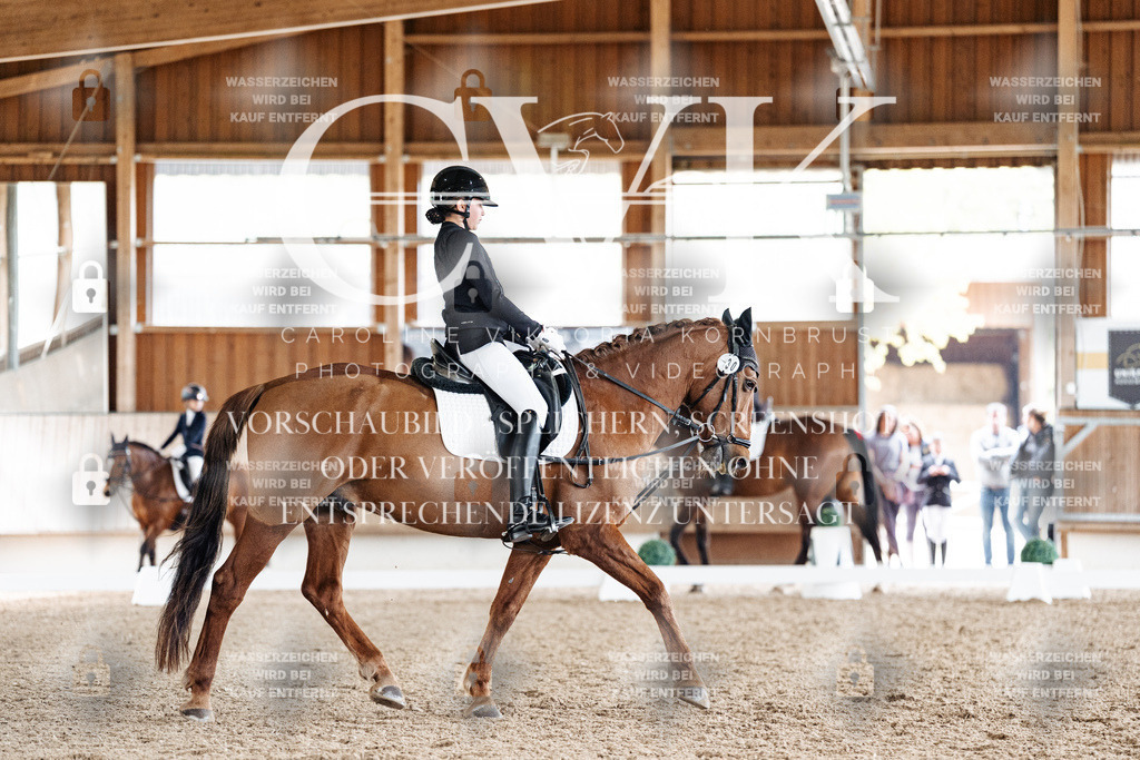 CK900644 | Turnierfotografie Pferdefotografie Trier Rheinland-Pfalz Pferdesport Reitsport Tierfotografie Sportfotografie Pferdevideo Pferdevideografie Equestrianvideography equestrianphotography  - Realisiert mit Pictrs.com