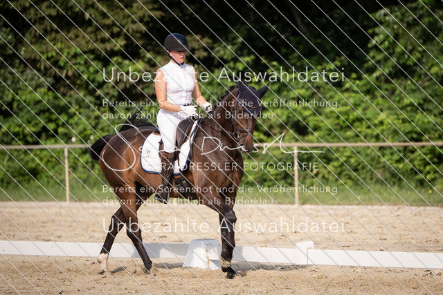 SD_Verl_07803 | saradresslerfotografie - Realisiert mit Pictrs.com