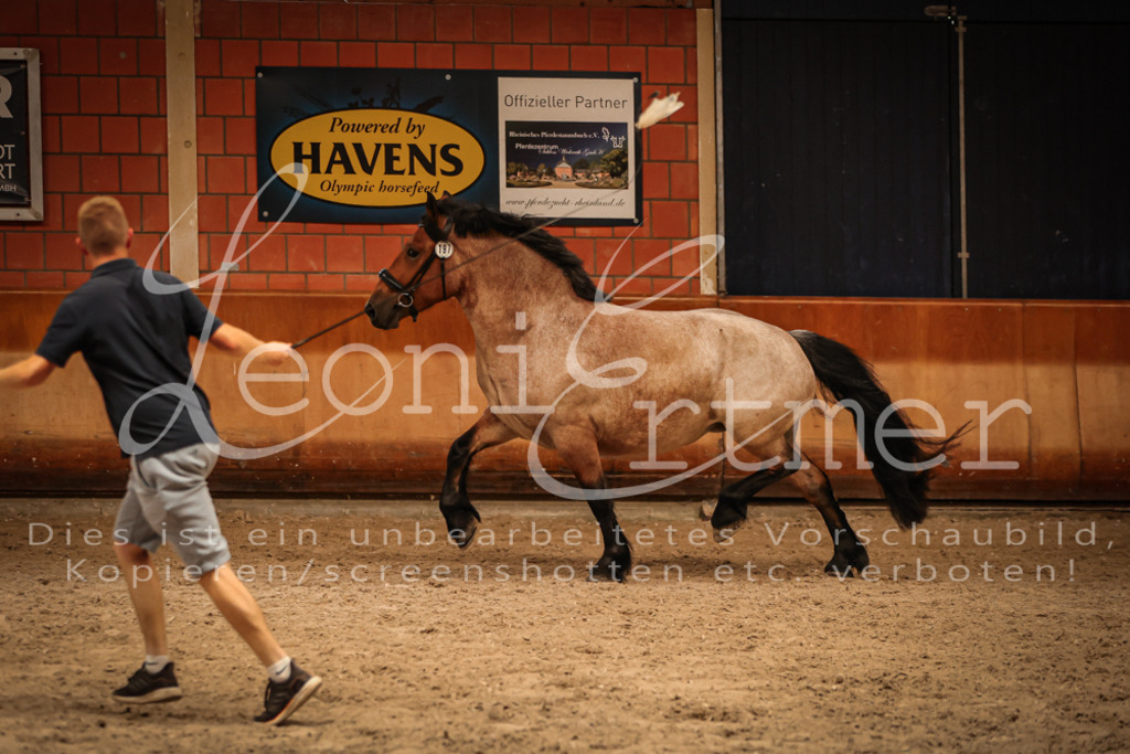 SaFL00364 | Leoni Ertmer Photography - Realisiert mit Pictrs.com