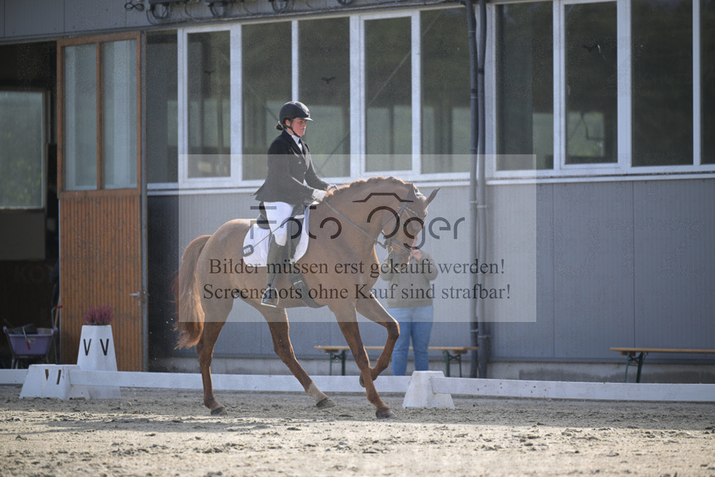 DOS_2717 | Entdecke hochwertige Reitturnierfotos von Foto Oger. Professionell, emotional und authentisch – jetzt Lieblingsmomente im Shop bestellen.Deutschlandweite Turnierfotografie. - Realisiert mit Pictrs.com