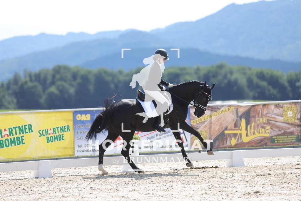 0P6A9272 | Willkommen bei Brunnmayr - Design & Fotografie – Ihrem Spezialisten für Reitturniere und Pferdeveranstaltungen in Oberösterreich, Salzburg und Bayern! Seit über 17 Jahren sind wir leidenschaftlich dabei.