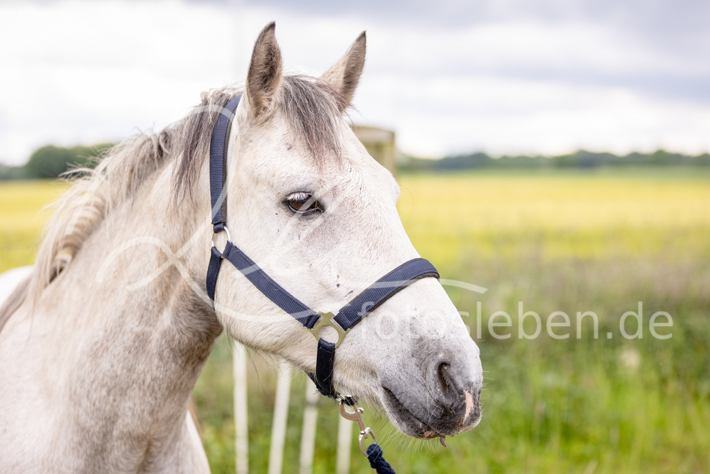 846A0766 | fotosleben - Realisiert mit Pictrs.com