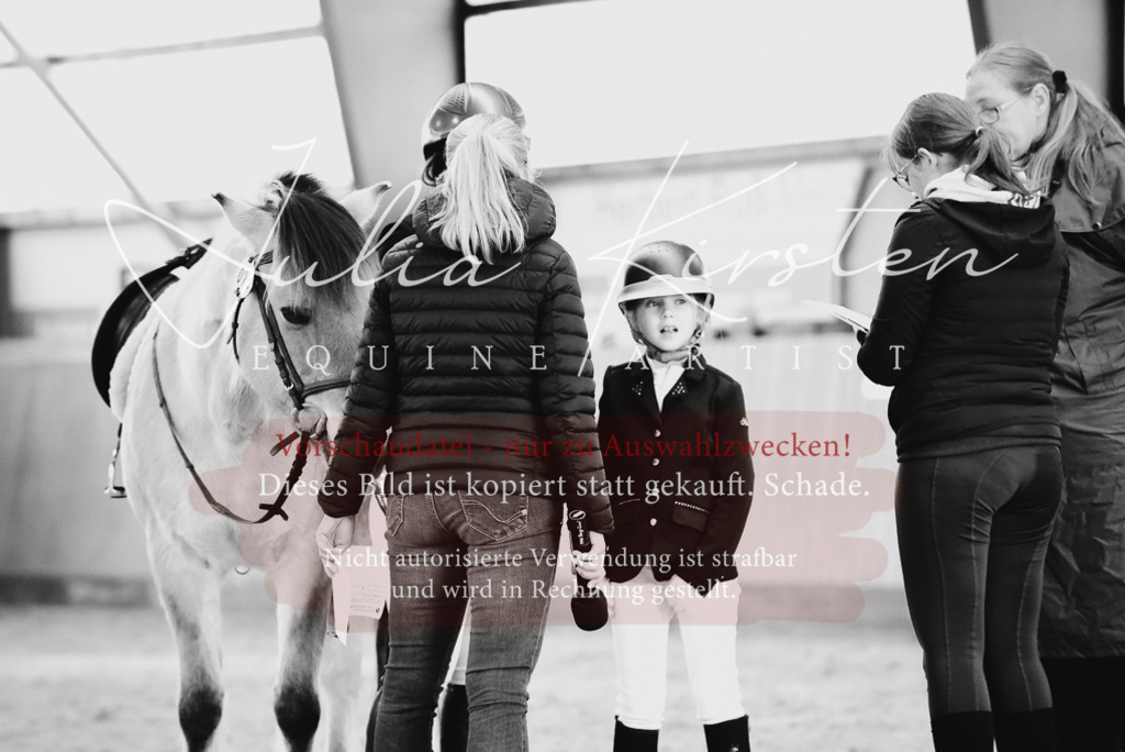 DSC_6860 | Pferde- und Turnierfotografie in Westsachsen. Pferdeportraits, Auftragszeichnungen und intuitive Kunst.