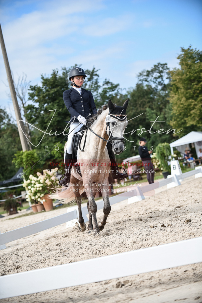 DSC_8694 | Pferde- und Turnierfotografie in Westsachsen. Pferdeportraits, Auftragszeichnungen und intuitive Kunst.